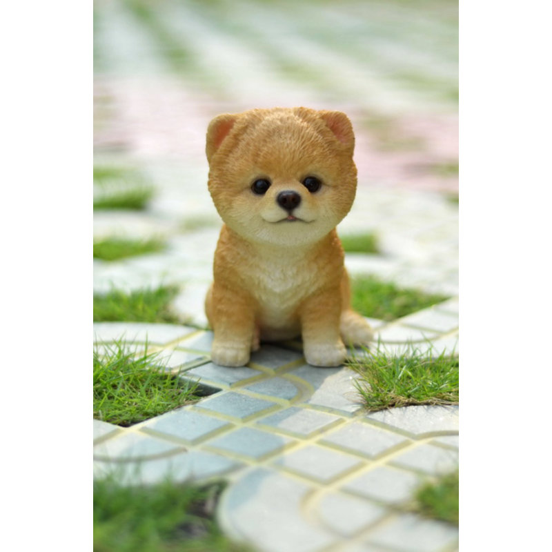 Toy pomeranian fashion puppies